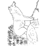 Dibujo para colorear Colorear Lobo En La Loma