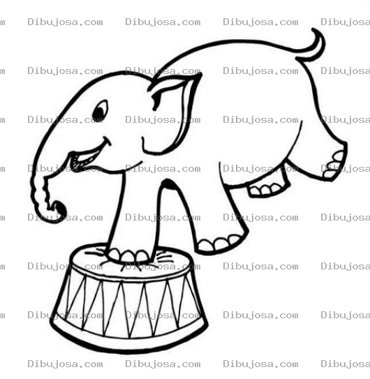 Dibujo para colorear Elefante Parado En Una Pata Para Pintar Y Colorear