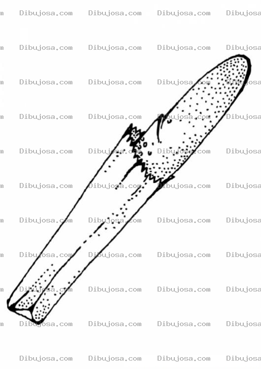 Dibujo para colorear Dibujo De Una Baget De Pan Para Pintar