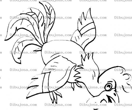Dibujo para colorear Colorear Gallo Comiendo Maiz
