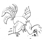 Dibujo para colorear Colorear Gallo Comiendo Maiz