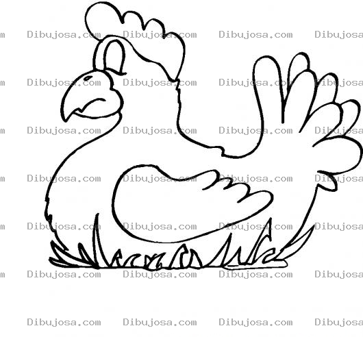 Dibujo para colorear Colorear Gallina Ponedora Poniendo Huevos