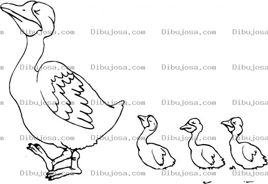 Dibujo para colorear Colorear Mama Cisne Con Sus 3 Hijos Cisnesitos