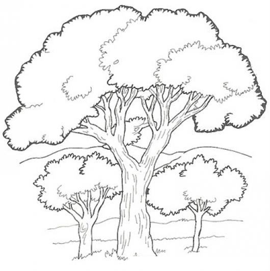 DIBUJO DE ARBOLES PARA PINTAR Y COLOREAR | DIBUJOS PARA PINTAR | Dibujos  para Colorear | DibujosA.com