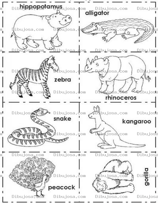 Dibujo para colorear Dibujo Para Pintar Animales En Ingles