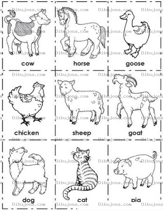 Dibujo para colorear Colorear Animales De Granja En Ingles