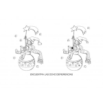 Dibujo para colorear Encontra Las Diferencias Y Despues Colorea Online