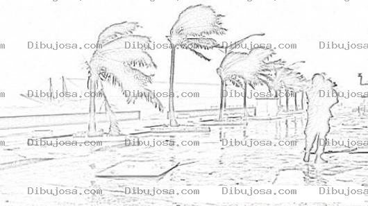 Dibujo para colorear Hurricane Irene Coloring Page