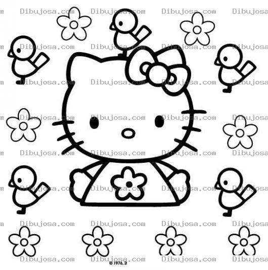 Dibujo para colorear colorear hellokyti con pajaritos