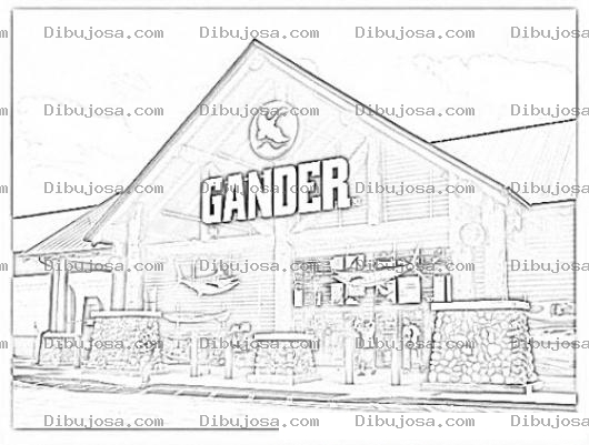 Dibujo para colorear Gander Mountain Coloring Page