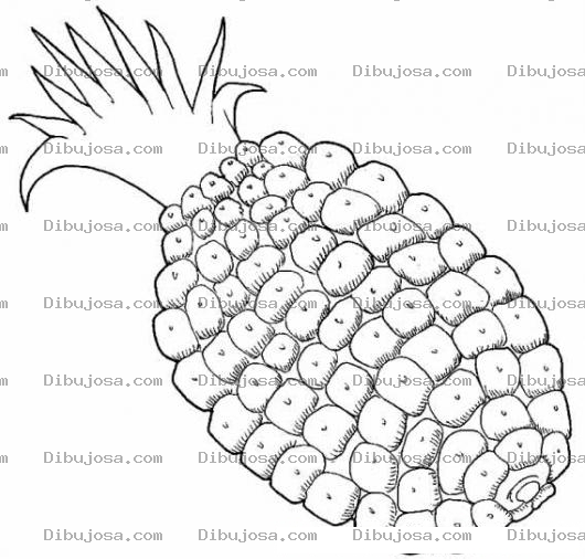 Dibujo para colorear Pinnacle Coloring Page Para Pintar Y Colorear El Dibujo De Una Pina
