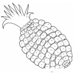 Dibujo para colorear Pinnacle Coloring Page Para Pintar Y Colorear El Dibujo De Una Pina