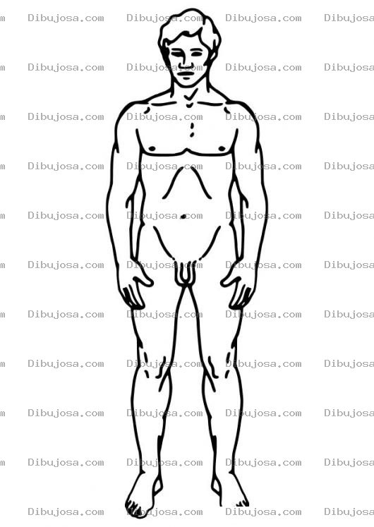 Dibujo para colorear Dibujo Del Cuerpo Humano Para Colorear E Imprimir