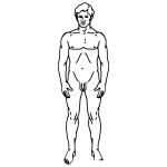 Dibujo para colorear Dibujo Del Cuerpo Humano Para Colorear E Imprimir