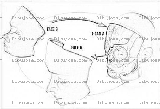 Dibujo para colorear Face Transplant Coloring Page