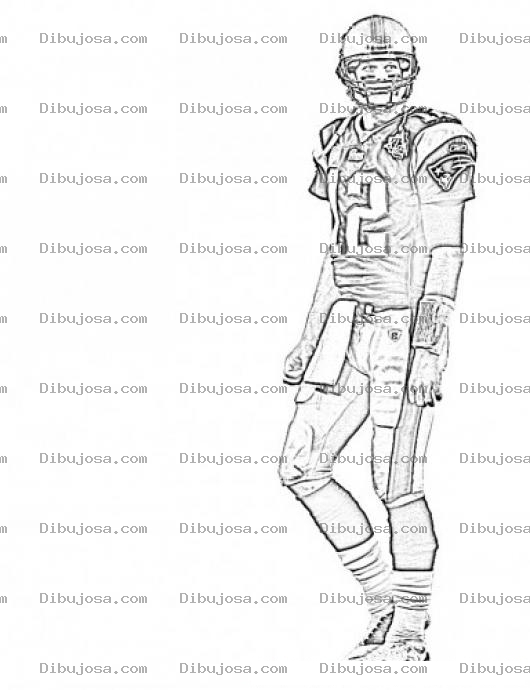 Dibujo para colorear Wes Welker Coloring Page Para Pintar Y Colorear