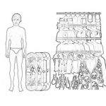 Dibujo para colorear Boy Dress Up Game Online Coloring Page Para Pintar Y Colorear