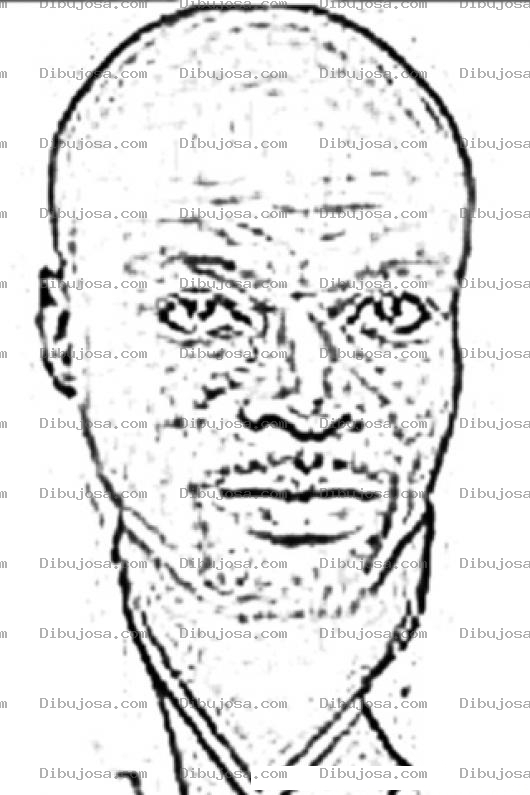 Dibujo para colorear Seal Coloring Page Para Colorear Online