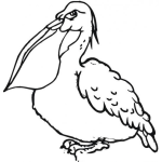 Dibujo para colorear Dibujo De Pelicano Enojado Para Colorear Y Pintar
