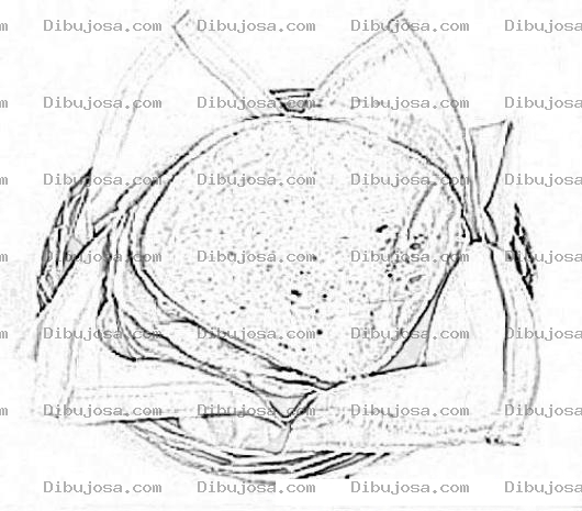 Dibujo para colorear Dibujo D Eun Canasto De Tortillas De Maiz De Guatemala Para Colorear Y Pintar