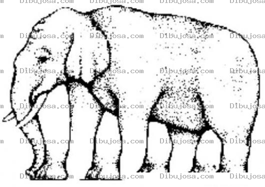 Dibujo para colorear Dibujo De Elefante Imposible De Colorear Por Ilusion Optica
