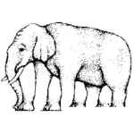 Dibujo De Elefante Imposible De Colorear Por Ilusion Optica