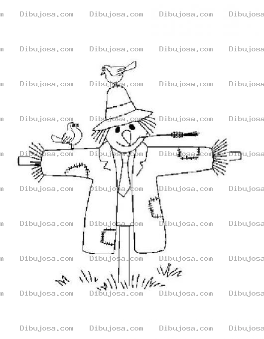 Dibujo para colorear Dibujo De Espanta Pajaros Para Colorear