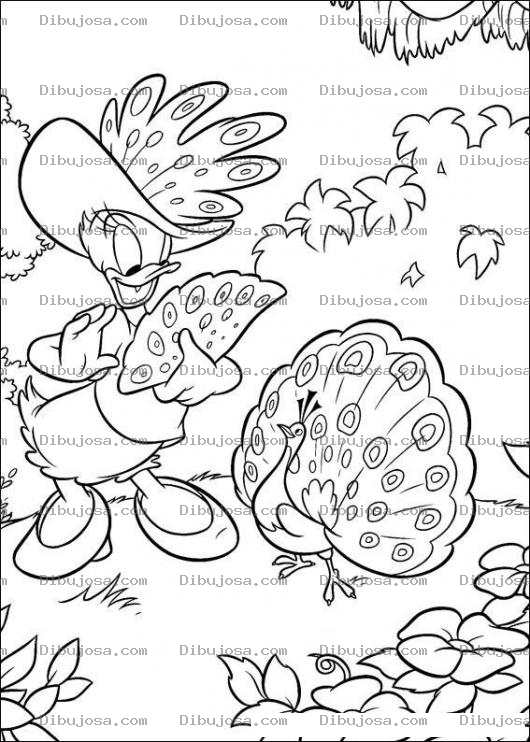 Dibujo para colorear Colorear al Pavoreal con Mimi