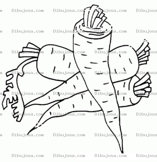 Dibujo para colorear Zanahorias Para Colorear