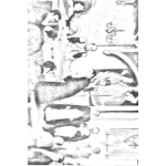 Dibujo para colorear 15 De Septiembre Dia De La Independencia De Guatemala Dibujo Para Colorear