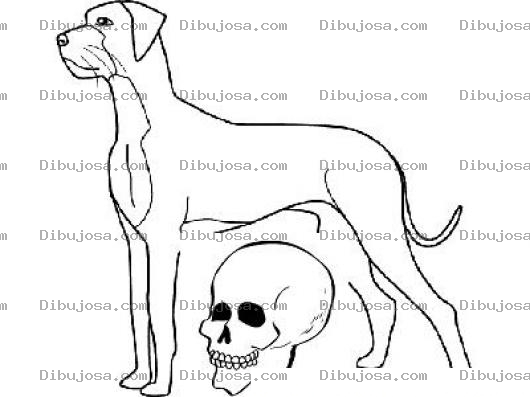 Dibujo para colorear Dibujo De Un Perro Con Craneo De Muerte Para Colorear