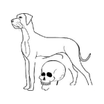 Dibujo para colorear Dibujo De Un Perro Con Craneo De Muerte Para Colorear