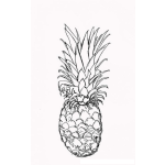 Dibujo para colorear Dibujo De Una Pina Para Pintar Y Colorear
