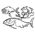 Dibujo para colorear Dibujo De Tiburones 3 Tiburones Amigos Para Colorear