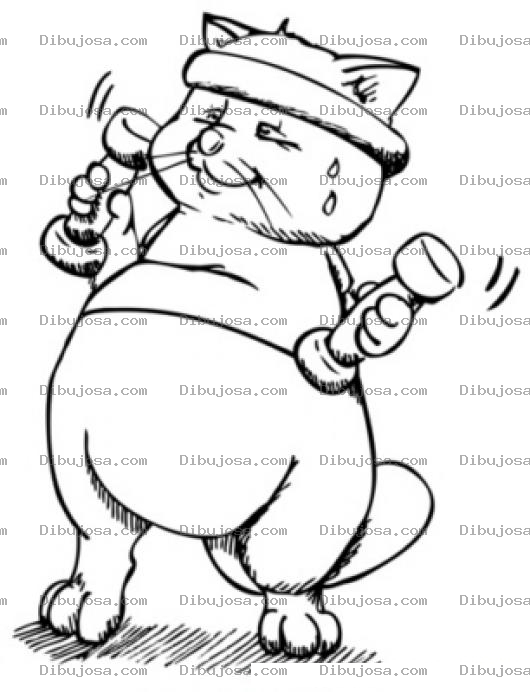 Dibujo para colorear Colorear Gato Haciendo Ejercicios