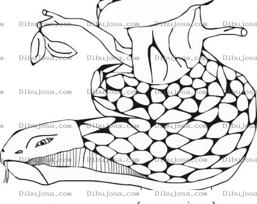Dibujo para colorear Colorear Onalo