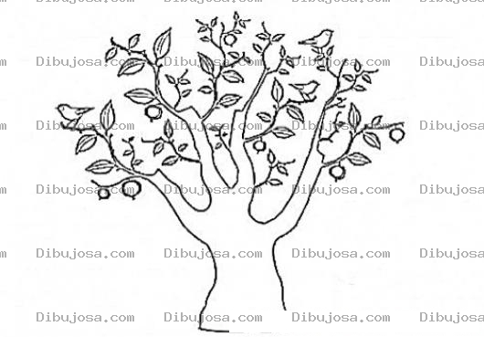 Dibujo para colorear Colorear Arbol Con Pajaritos