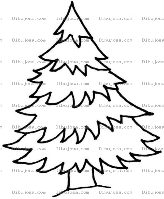 Dibujo para colorear El Arbol Nacional De Honduras Para Colorear Dibujo Del Pino Arbolnacionaldehonduras