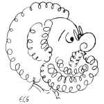 Dibujo para colorear Colorear Hombre Morocho Con Barba Morocha Dibujo De Hombre Colocho Con Barba Colocha