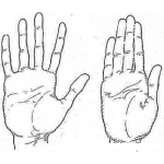 Dibujo para colorear Palma De La Mano Con Dedos Abiertos Y Mano Con Dedos Cerrados Para Pintar Y Colorear