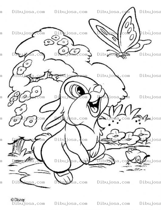 Dibujo para colorear Colorear conejito de bambi con mariposa