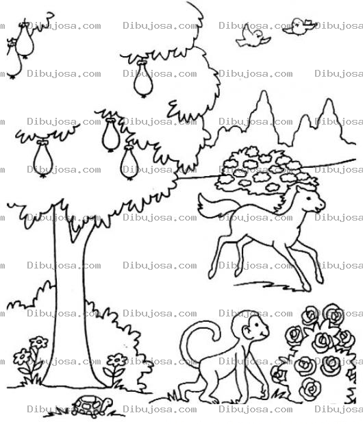 Dibujo para colorear Colorear la creacion de Dios