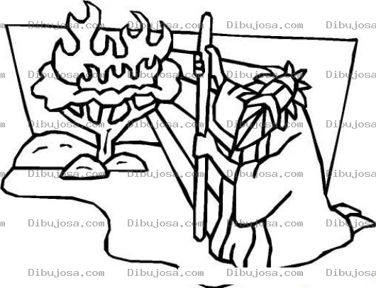 Dibujo para colorear Dibujo Biblico De Abraham Para Colorear