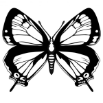 Dibujo para colorear Pintar Mariposa con alas extendidas