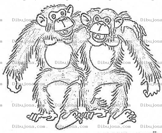 Dibujo para colorear Dibujo De 2 Monos Amigos Para Pintar Y Colorear