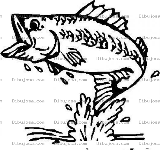 Dibujo para colorear Pescado Saltando Del Agua Para Colorear