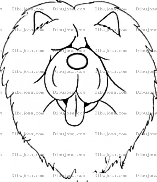 Dibujo para colorear Dibujo De Leon Noble Con Lengua De Fuera Para Pintar Y Colorear