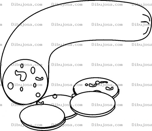 Dibujo para colorear Chorizo Para Pintar Y Colorear