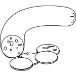 Dibujo para colorear Chorizo Para Pintar Y Colorear
