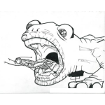 Dibujo para colorear Dibujo De Iguana Comiendo Langosta Verde Saltamontes Quiebrapalitos Para Pintar Y Colorear